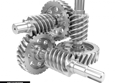 Worm Gears